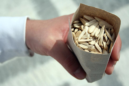 Ayçekirdeği Kaç Kalori?